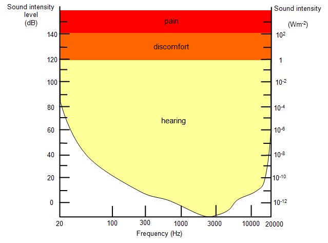 Audio frequencies that humans can hear